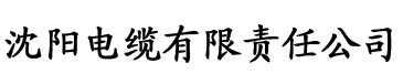 国产欧美日韩网站电缆厂logo